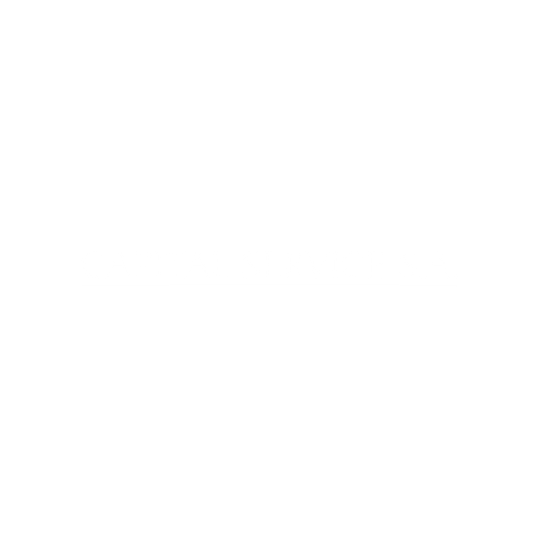 CAPITAL SERVICE