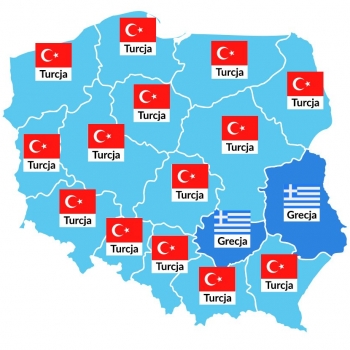 Gdzie i jak Polacy planują spędzić lato 2021? [BADANIE] — ilustracja 4