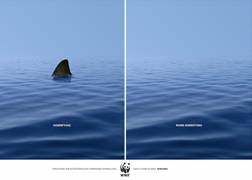 For the Sake of the Planet! See the Best WWF Creations [GALLERY] — illustration 3