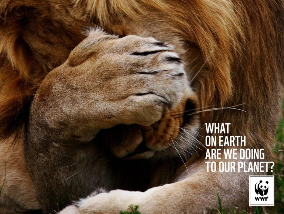 For the Sake of the Planet! See the Best WWF Creations [GALLERY] — illustration 13