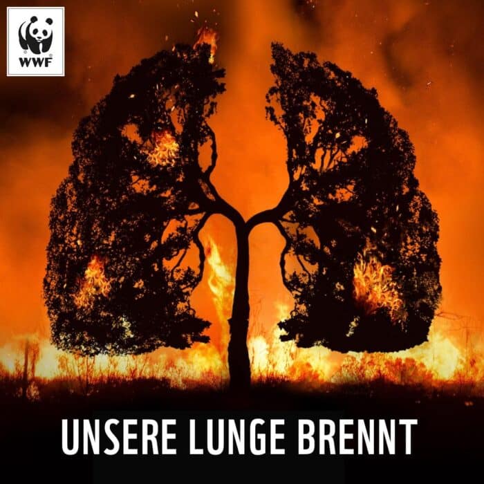 For the Sake of the Planet! See the Best WWF Creations [GALLERY] — illustration 21