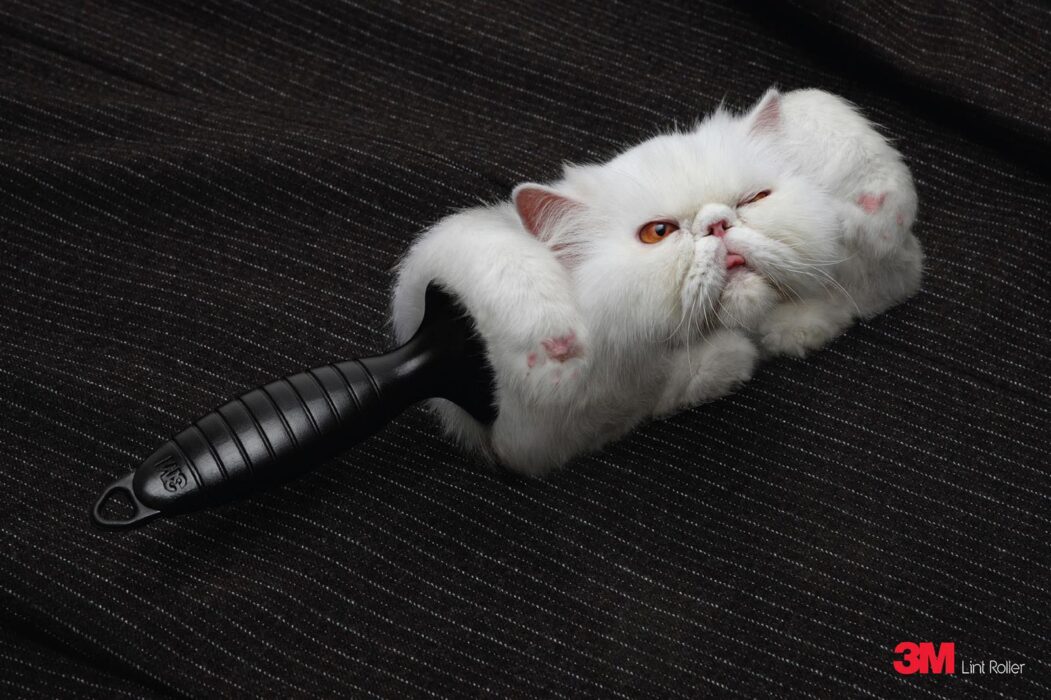 Cats in Advertising: A Review of International Campaigns [GALLERY] — illustration 1