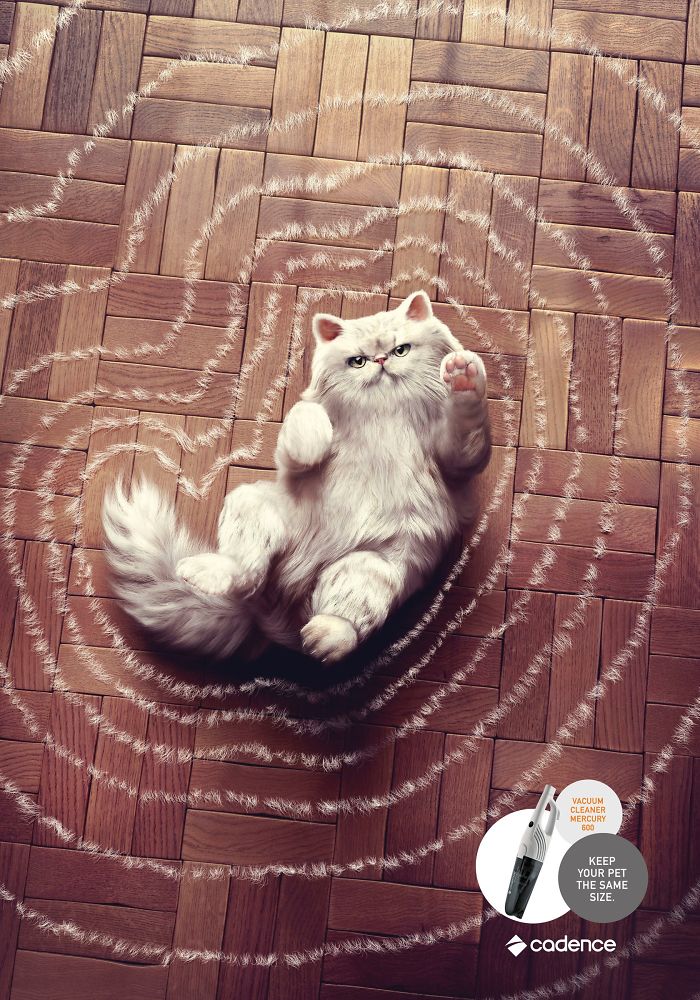 Cats in Advertising: A Review of International Campaigns [GALLERY] — illustration 16