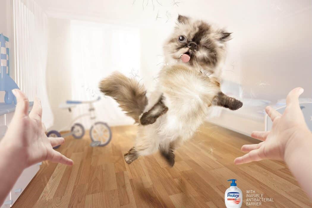 Cats in Advertising: A Review of International Campaigns [GALLERY] — illustration 17