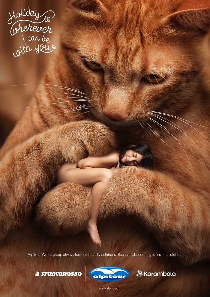 Cats in Advertising: A Review of International Campaigns [GALLERY] — illustration 19