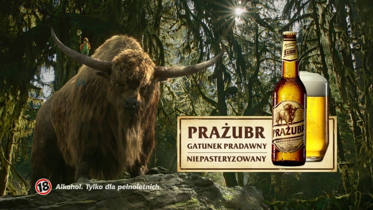 mediarun-prazubr