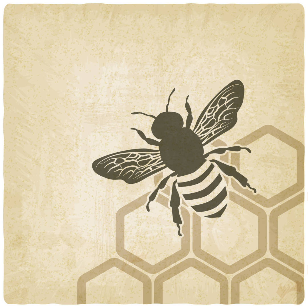 Freebee uratuje milion pszczół z okazji pierwszego milionowego skanu Freebee Fotolia 60623312 Subscription Monthly M