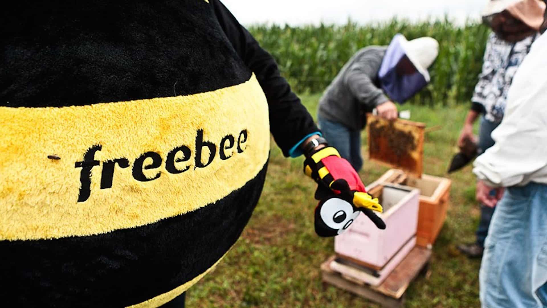 Dzięki zaangażowaniu klientów uratowali już milion pszczół Freebee mediarun freebee