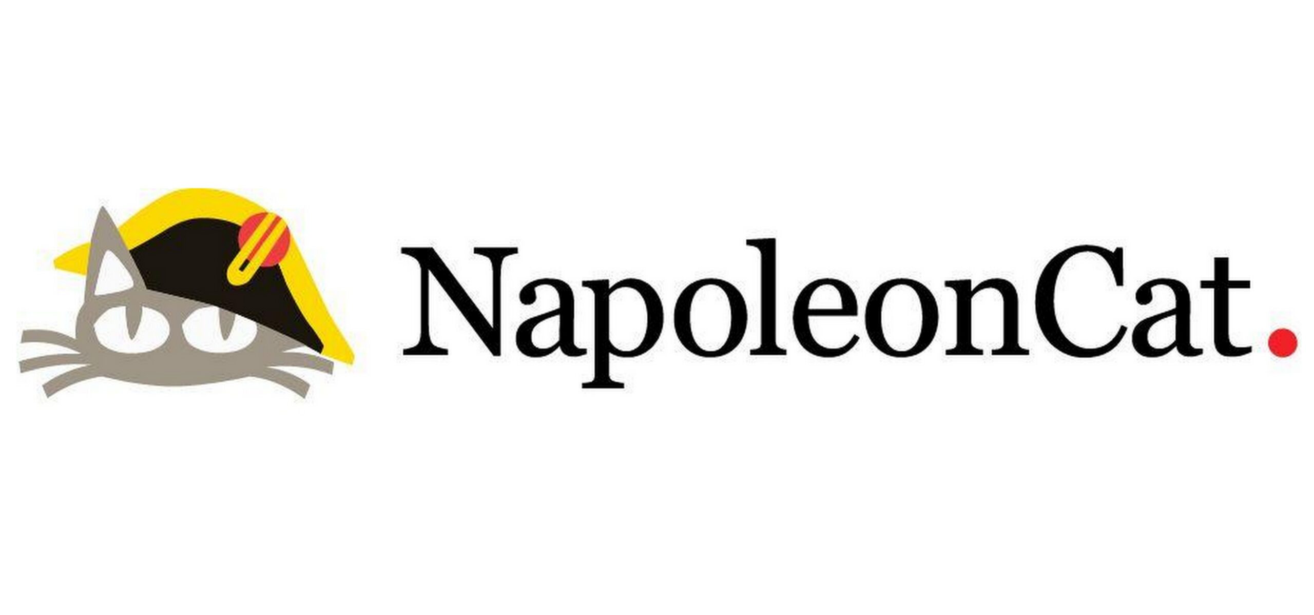NapoleonCat wspierany przez Google Technologie Mediarun Com Napoleon Cat scaled