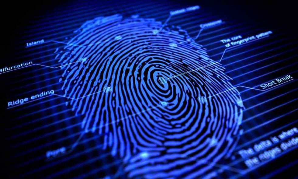 Czy biometria wejdzie nam w krew? płatności biometryczne odcisk