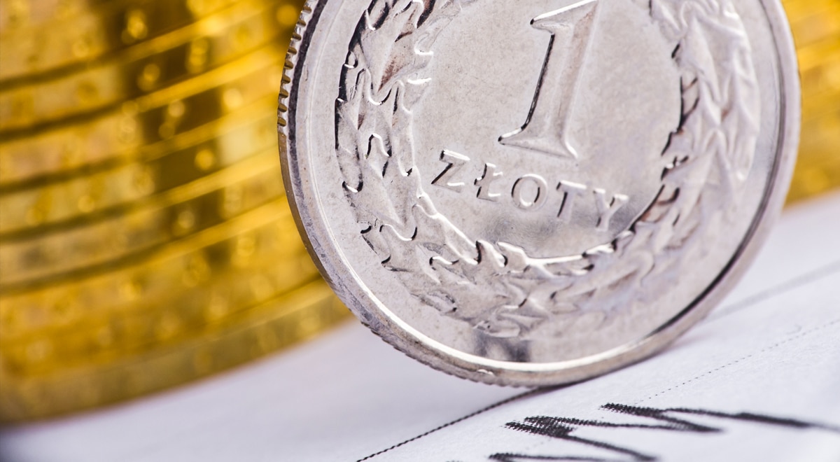 Złoty - spadek i jego przyczyny waluta złotówka 1