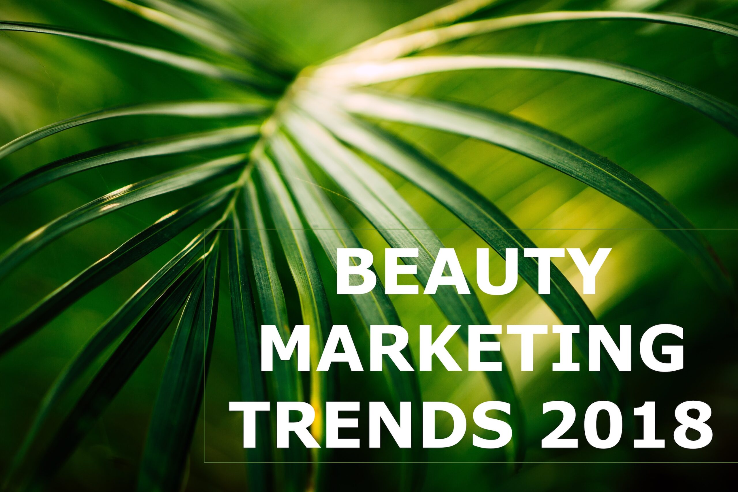5 głównych trendów Beauty Marketing na 2018 TOP 100 BEAUTY MARKETING TRENDS scaled
