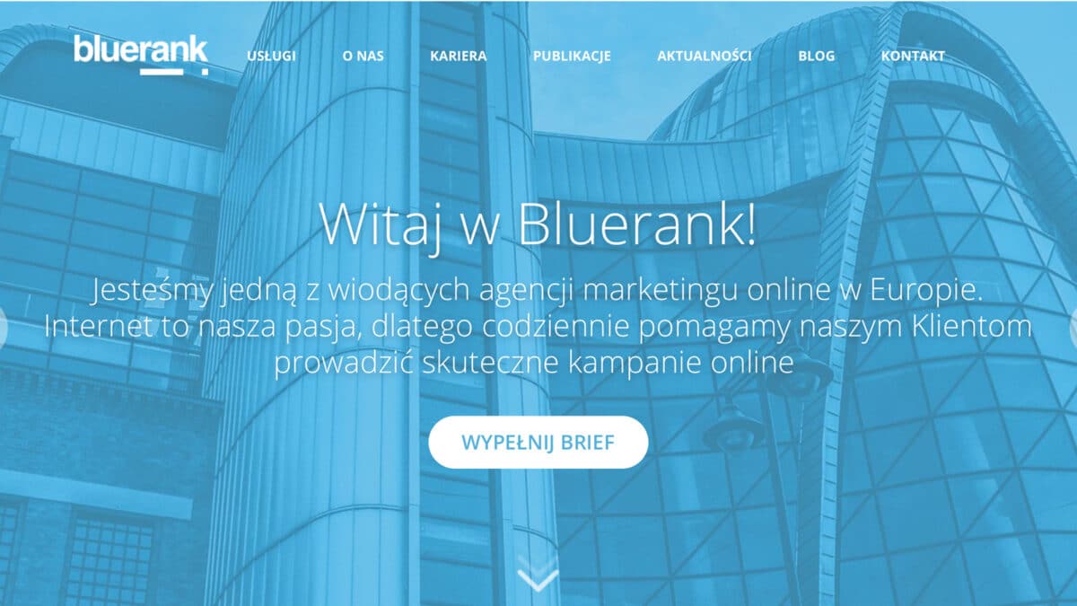 Bluerank prezentuje nową identyfikację wizualną Bluerank mediarun bluerank wizerunek identyfikacja nowa 2020