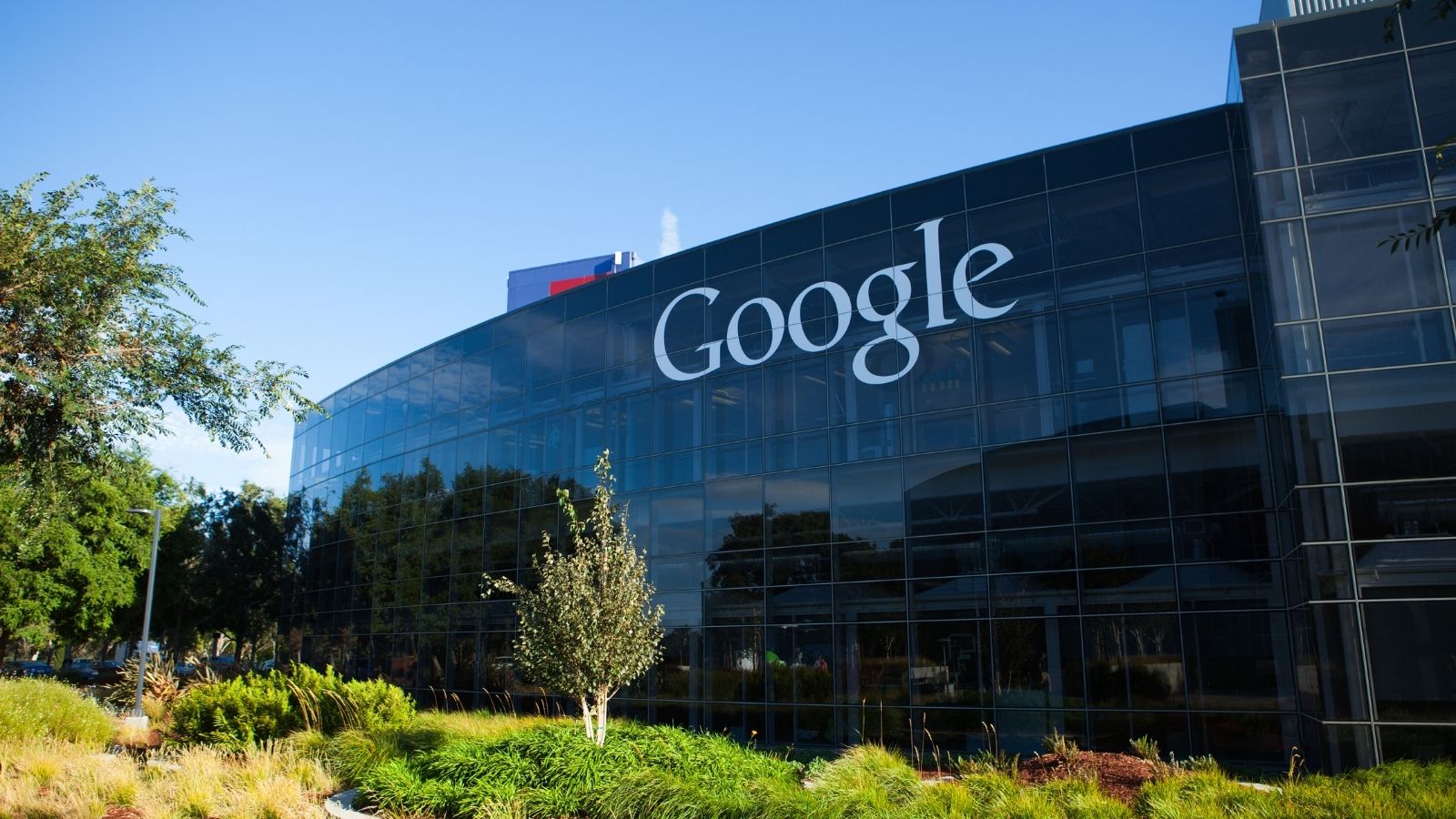 Google rozstrzygnął przetarg! Internet mediarun google corporate