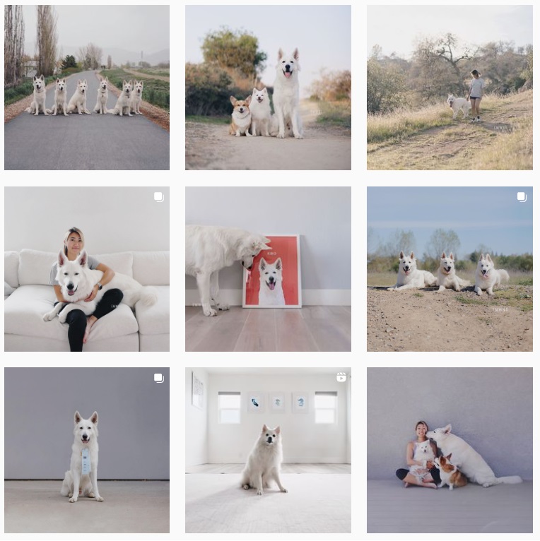 7 motywów na estetyczny feed na Instagramie Inspiracje minimalizm