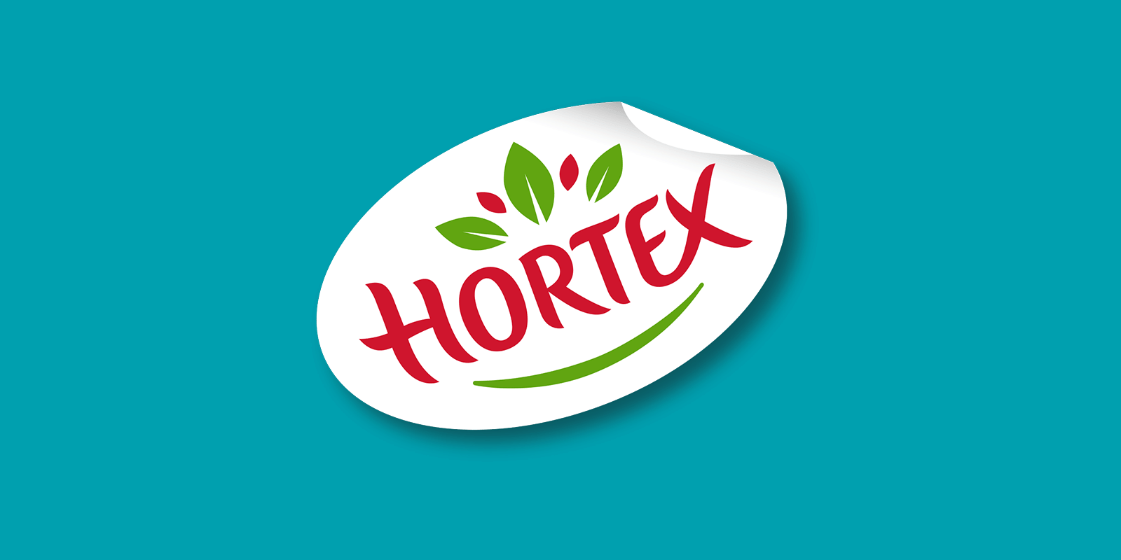 HORTEX rozstrzygnął przetarg Hortex MEDIARUN COM AI HORTEX LOGO