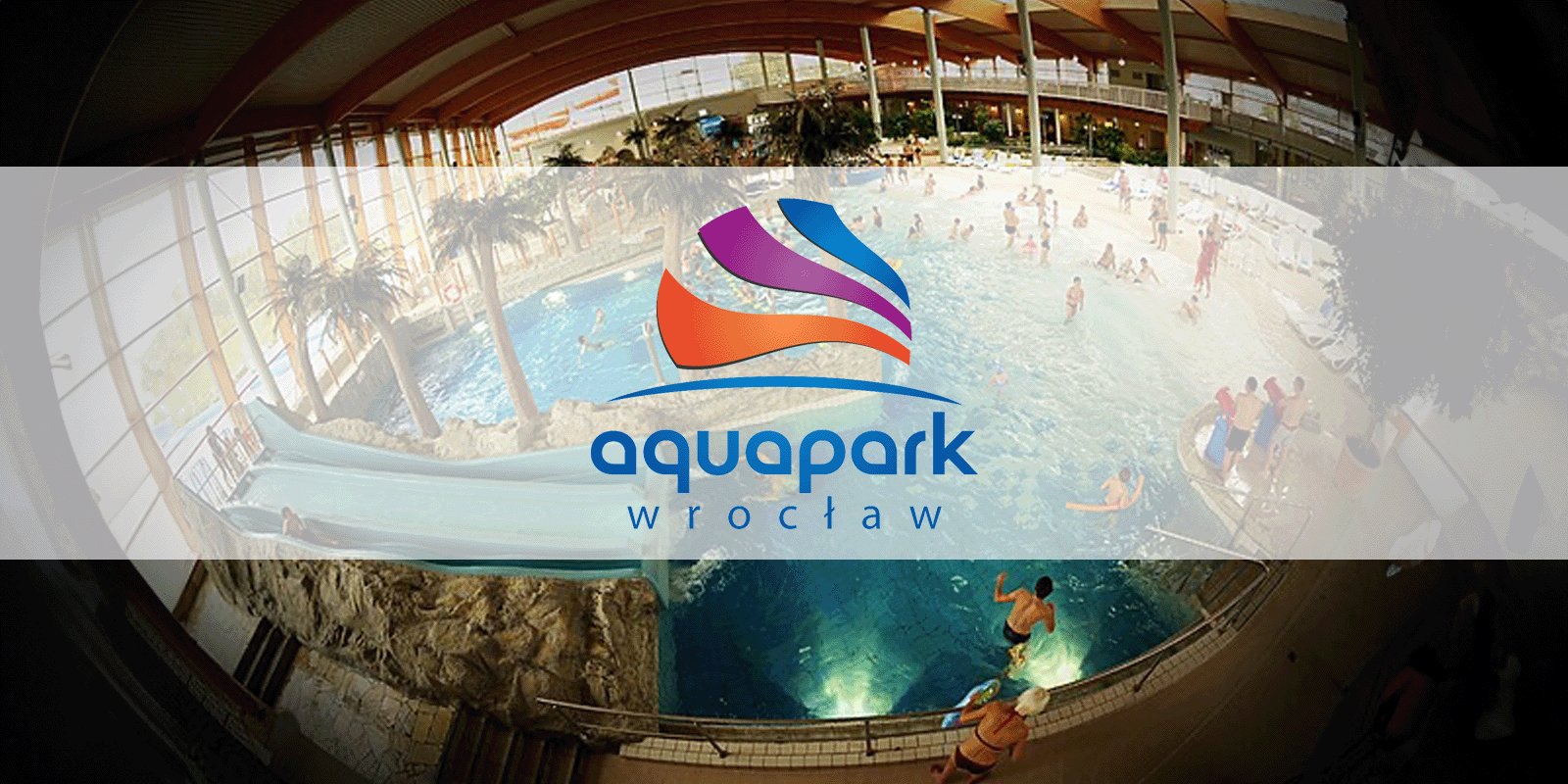 Wywiad z Grzegorzem Kaliszczakiem – Prezesem Aquapark Wrocław aquapark MEDIARUN COM WYWIAD AQUAPARK WROCLAW GRZEGORZ KALISZCZAK V1