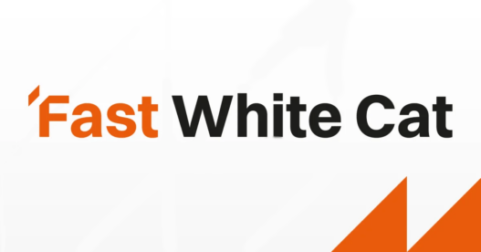 Fast White Cat ujawnia nowy zarząd i kierunek, którego nikt się nie spodziewał. Restrukturyzacja zakończona – czas na kolejny ruch.