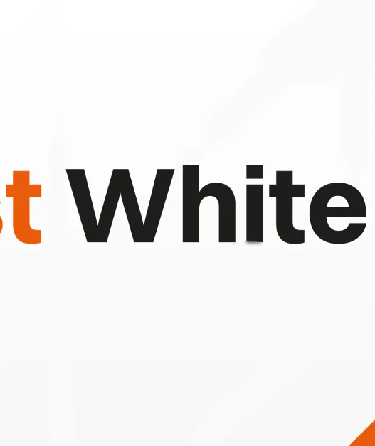 Fast White Cat ujawnia nowy zarząd i kierunek, którego nikt się nie spodziewał. Restrukturyzacja zakończona – czas na kolejny ruch.