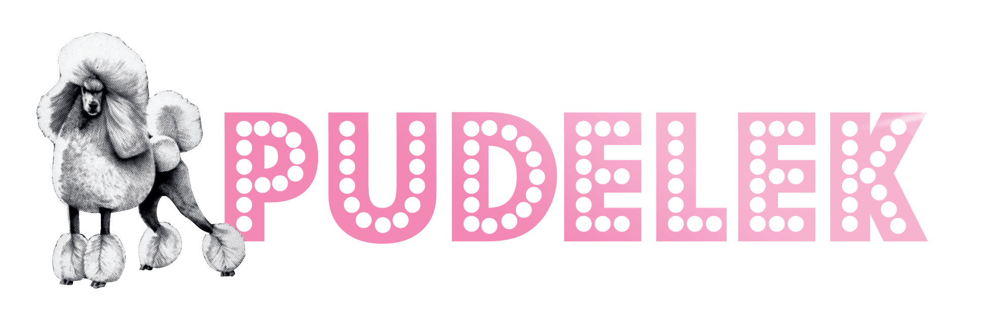 Serwis PUDELEK w nowej odsłonie Design pudelek logo