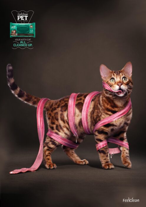 Koty w reklamie - przegląd międzynarodowych kampanii [GALERIA] cats mediarun cat feel clean