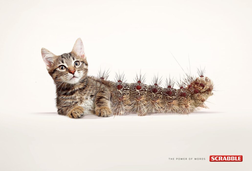 Koty w reklamie - przegląd międzynarodowych kampanii [GALERIA] cats mediarun cat scrabble