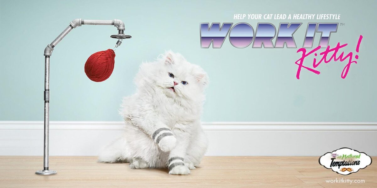 Koty w reklamie - przegląd międzynarodowych kampanii [GALERIA] cats mediarun work with kitty