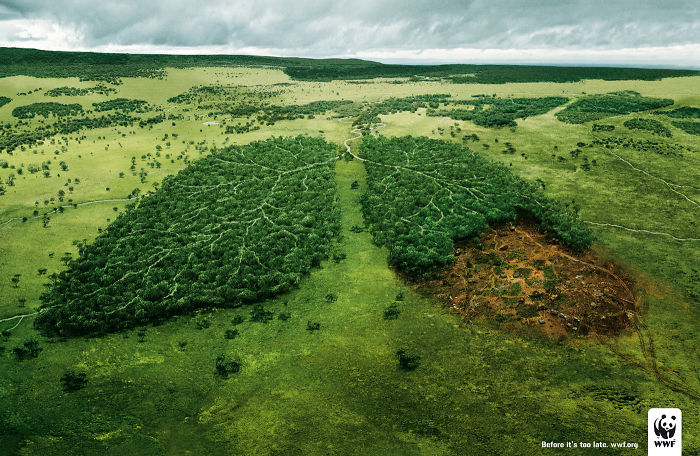 W trosce o planetę! Zobacz najlepsze kreacje WWF [GALERIA] ekologia mediarun wwf2
